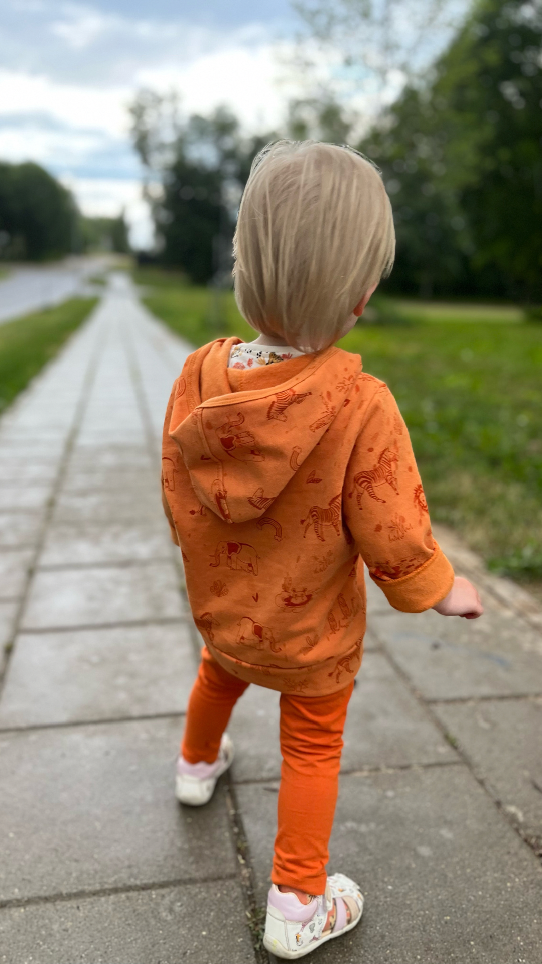 Ypatingai jaukus, lengvas ir minkštas vaikiškas GOTS organinės medvilnės džemperis su pūkeliu. Margintas žaismingu safari gyvūnų raštu. Orandžinės spalvos.